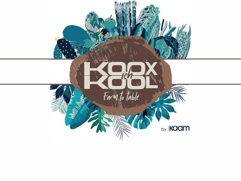 Koox Ich Kool Logo