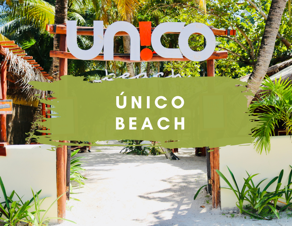 Único Beach - Experience Puerto Morelos