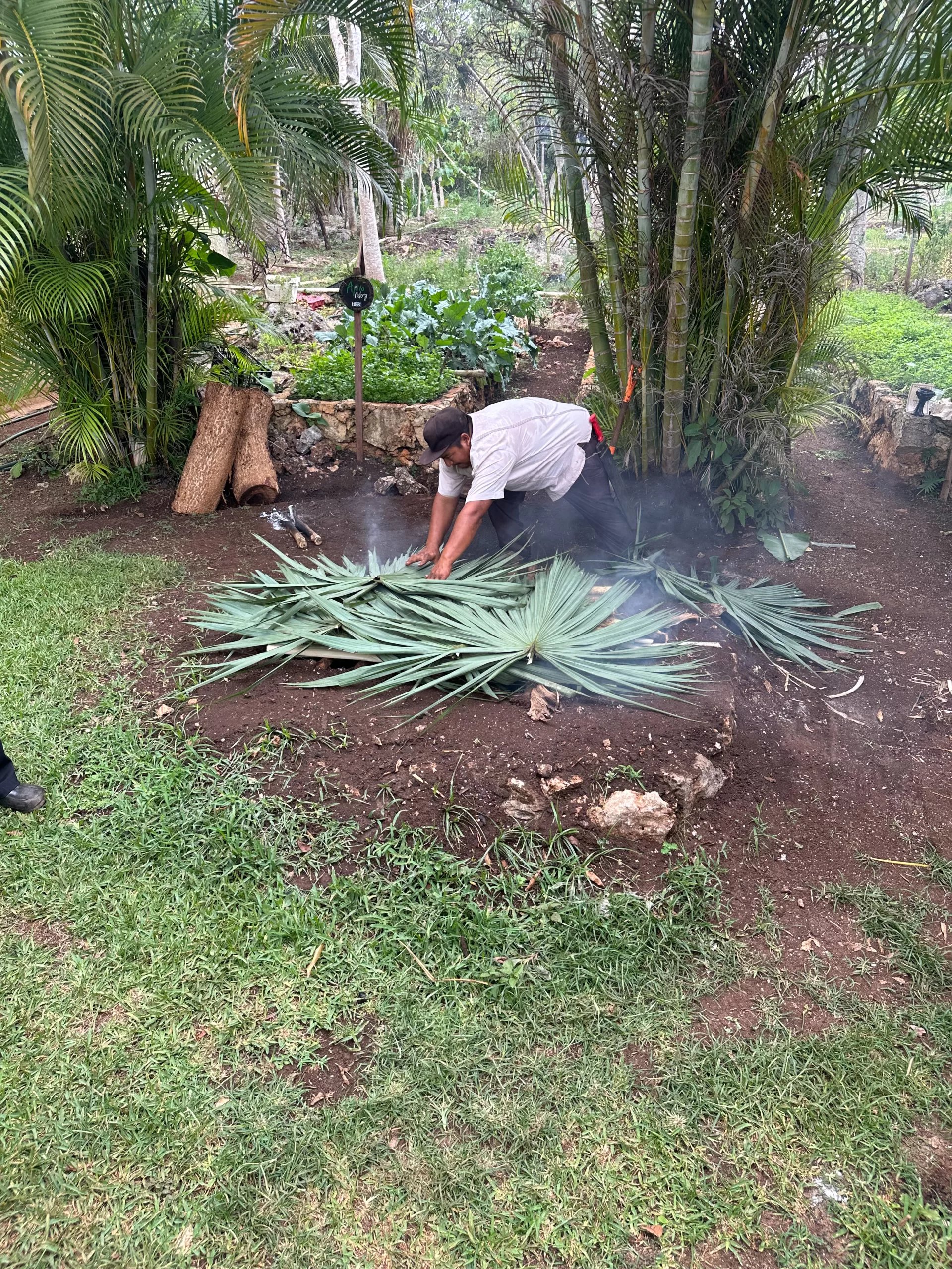 Man placing palm fronds on Mayan pib.