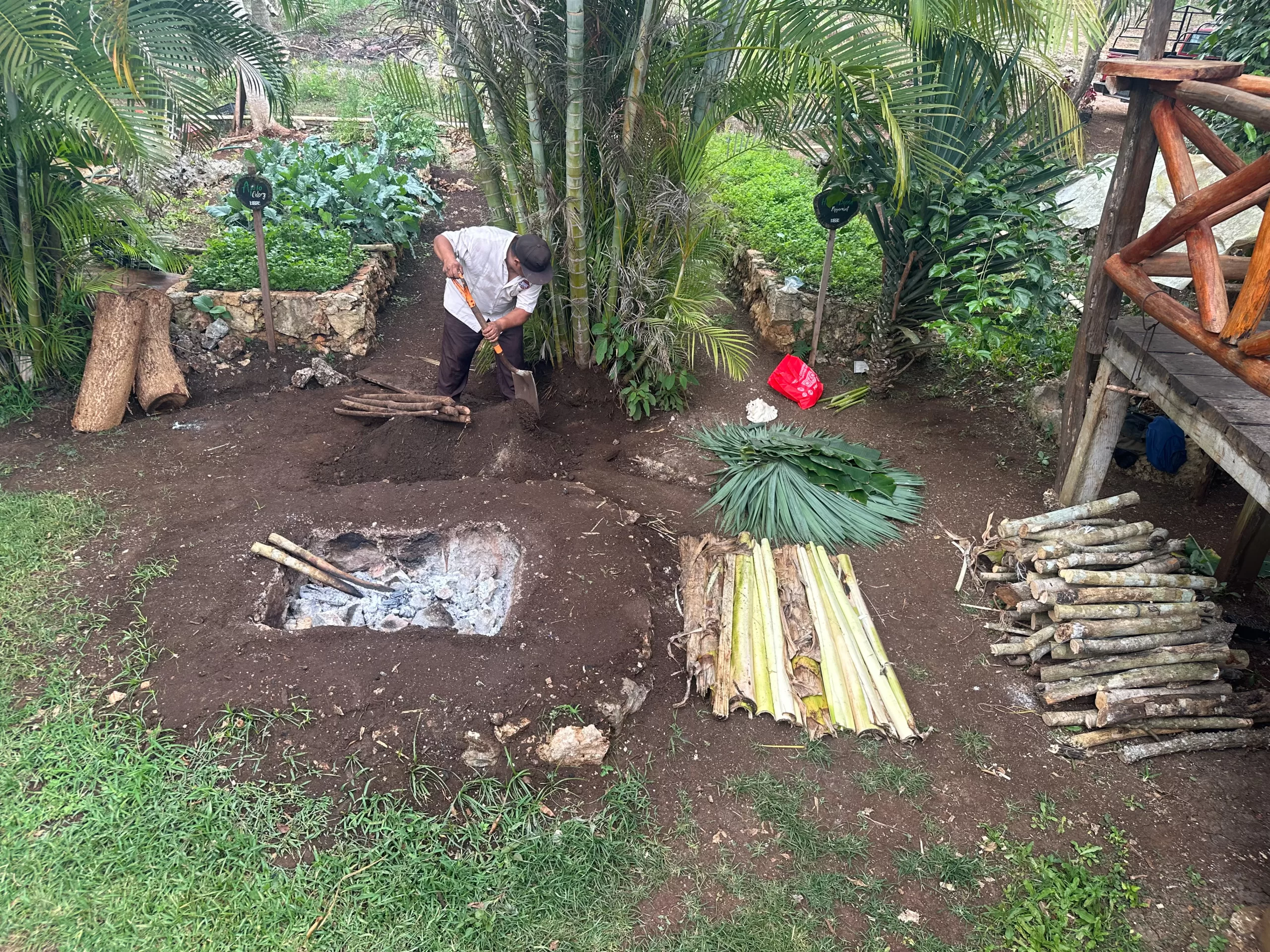 Roque preparing the Mayan pib for cooking using wood, palm fronds, and other natural materials.