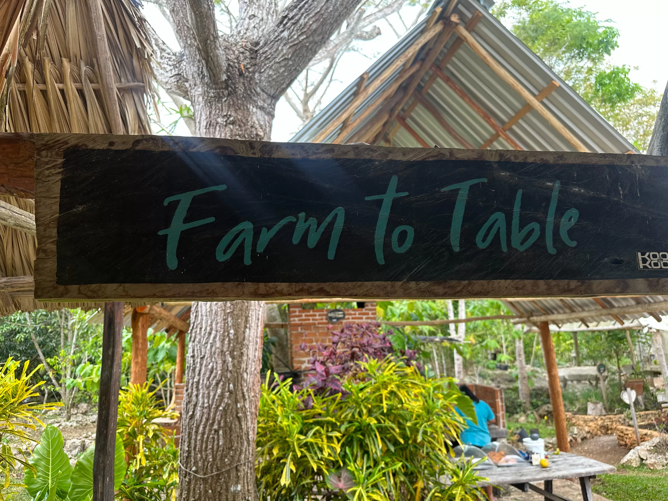 A wooden sign that reads "Farm to table".