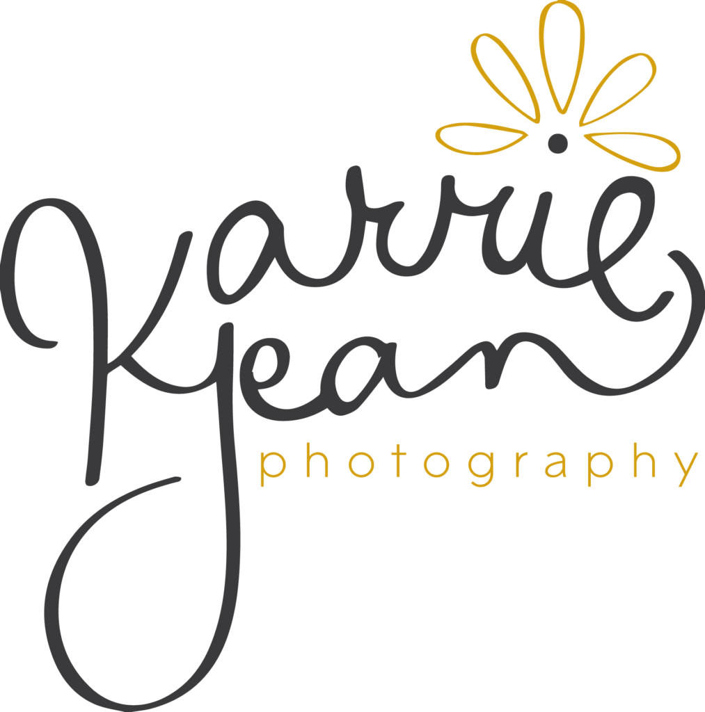 Logo Karrie