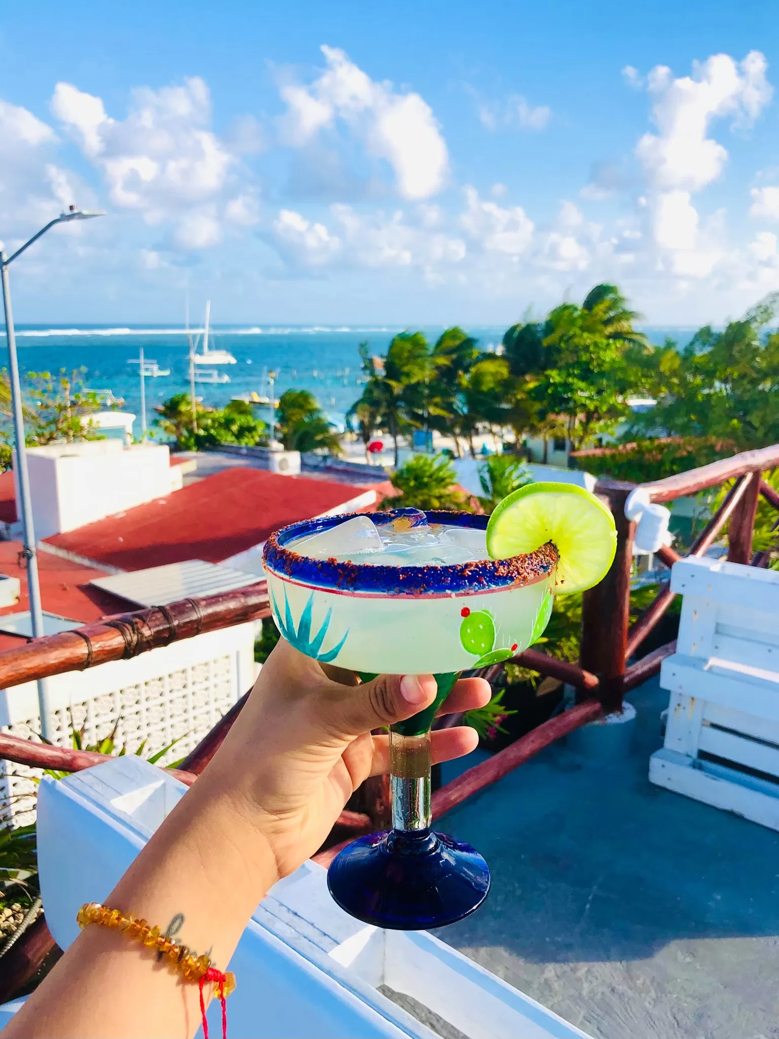 Woman's hand holding a margarita glass with buildings, palm trees, and the ocean in the background.