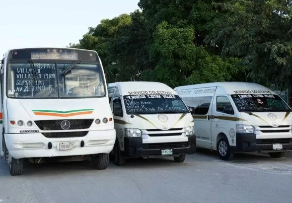 Image of three different types of colectivo buses found in Puerto Morelos.