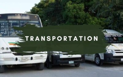 Transportation in Puerto Morelos
