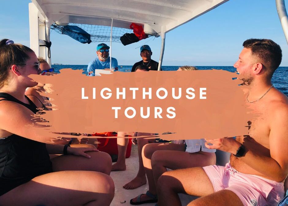 Descubriendo la Magia Marina con Lighthouse Tours