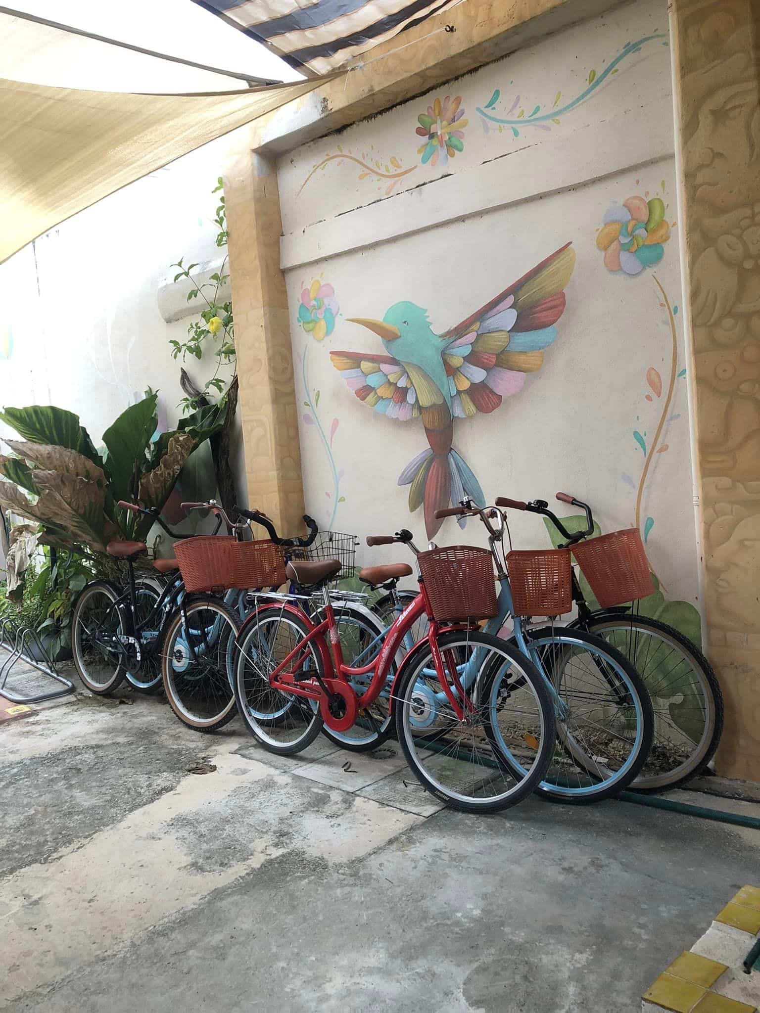 Hummingbird Bikes is a bike rental company on the portside of Puerto Morelos,
