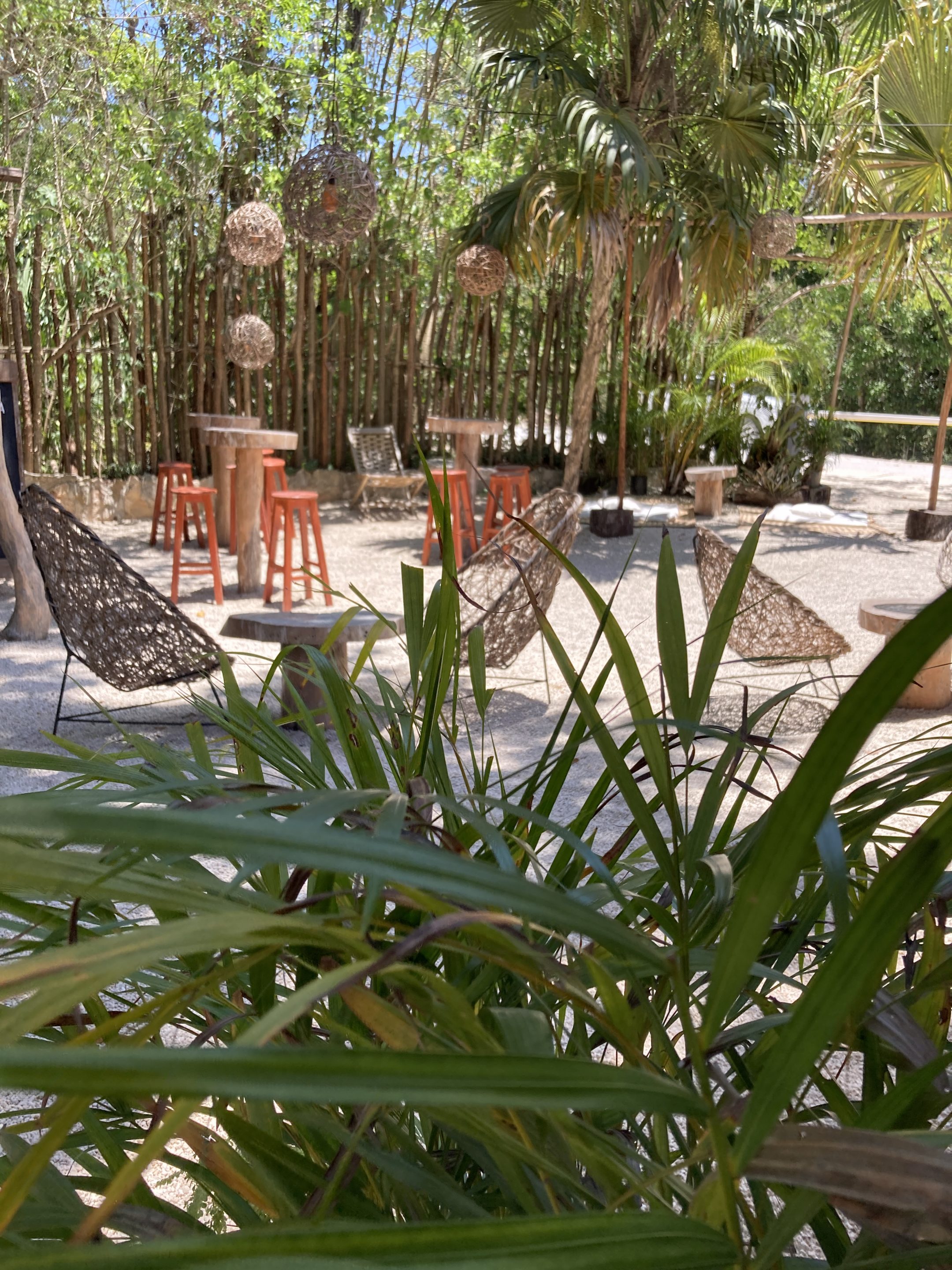 Dine surrounded by nature at Fuegos de Xul-Ha in the Mayan jungle on the Ruta de Cenotes outside Puerto Morelos.