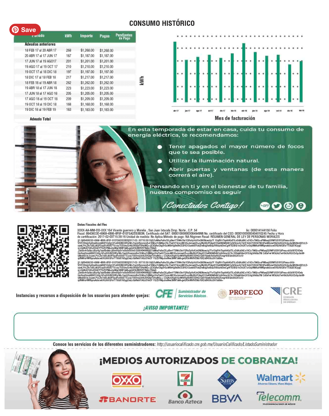 Sample back page of the CFE electricity bill for Puerto Morelos, Mexico.