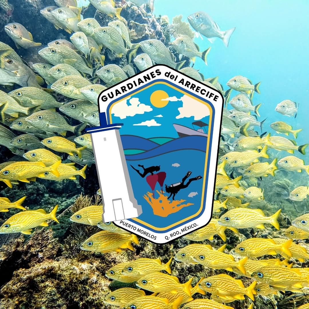 Guardianes del Arrecife logo
