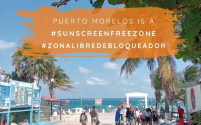 Sunscreen Free Zone