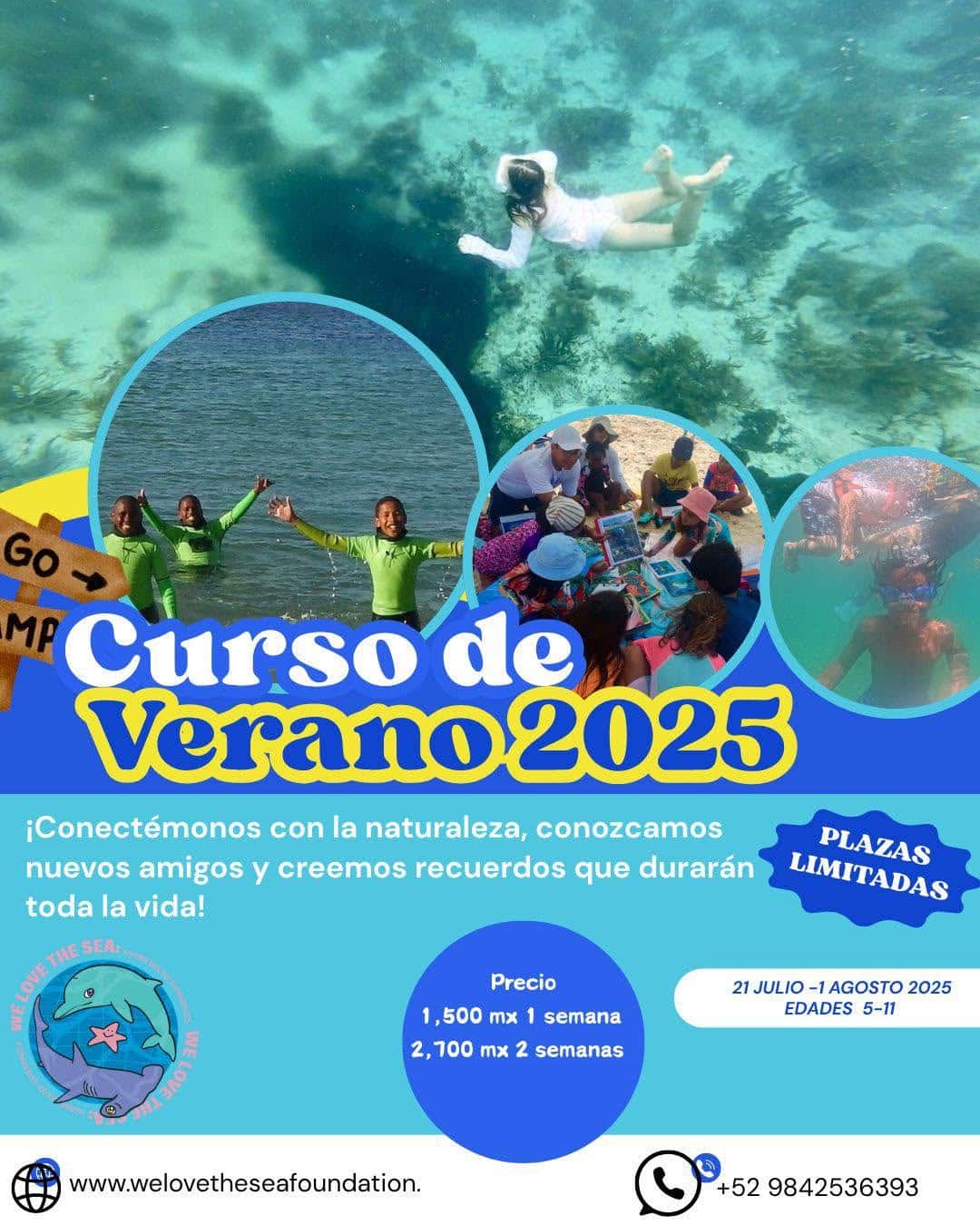 We Love the Sea Puerto Morelos Summer 2025 Verano 2025