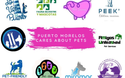 Puerto Morelos Cares About Pets