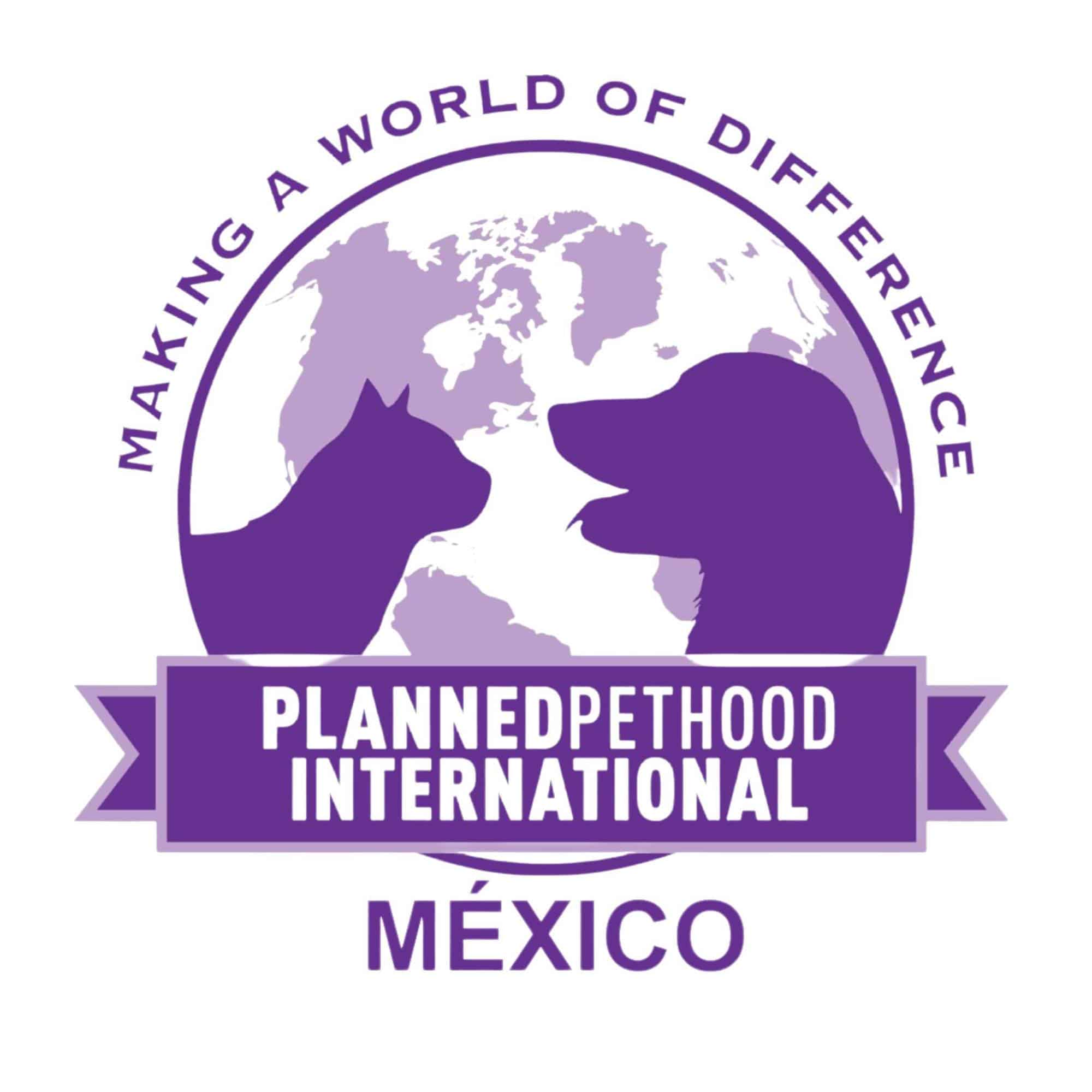 Planned Pethood International Mexico Puerto Morelos pet sterilization psay neuter