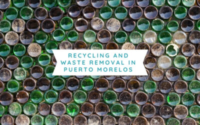 Recycling and Waste Removal in Puerto Morelos